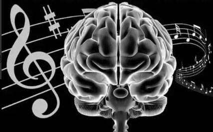 谭盾参加“神经技术连接音乐与大脑”国际论坛时，说了些什么