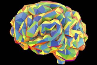 10多位科学家与音乐家在线探讨“神经技术连接音乐与大脑”
