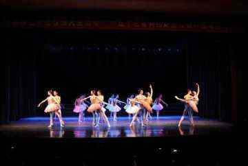 2018年高雅艺术进校园活动——《西方古典芭蕾的技术规范与审美标准》专题讲座成功举办