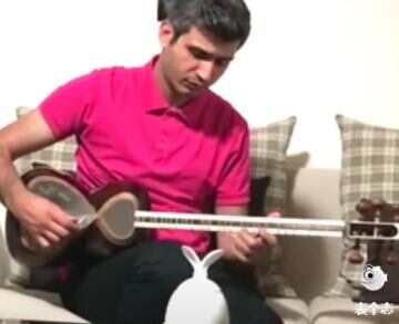 伊朗地接带您了解波斯文化艺术——塔尔乐器