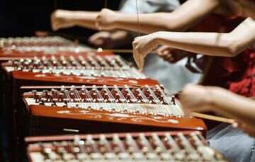 中国驻毛里求斯使馆向毛里求斯中国音乐学校捐赠乐器